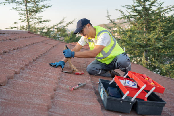 Best Metal Roofing Contractor  in Sur Hill, GA